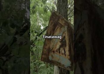 The Forest That Erases Your Name 🌘 Uganda’s Lost Soul Curse | True Horror Folklore