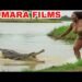EFUJJO LYEMANDWA VJ EMMY UGANDAN MOVIE #goviral