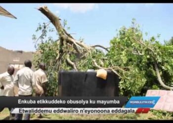 Enkuba etikkuddeko obusolya ku mayumba