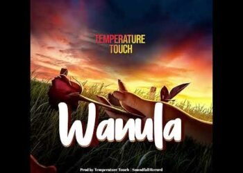 Wanula Official Audio – Temperature Touch             #music #paisayenyasathiupay #musicservice