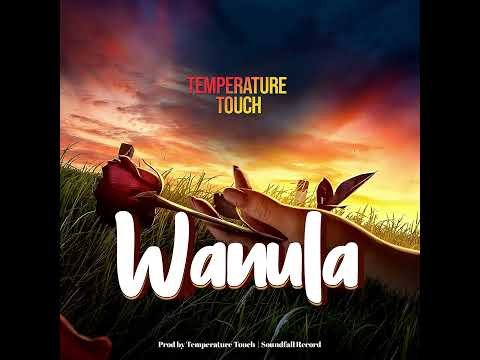 Wanula Official Audio – Temperature Touch #music #paisayenyasathiupay #musicservice