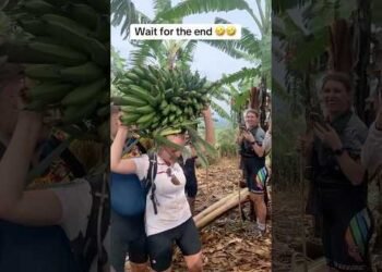 Never Joke With Ugandan 🇺🇬 😂🤣😂🤣 #uganda #funny #4000watchtime #KaraSeleckta #🇺🇬