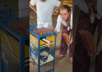 Kinoabend in Uganda #uganda #lionking #xgimitech