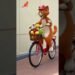 Cat on Bicycle #funny  #cats #shorts #catlovers #viralshort  #japan  #korea #india #pakistan  #usa