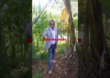 genz statueman #trending #comedy #ripgachagua #kenya #news #uganda #tanzania #genz #maandamano