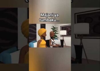 Kitundu No. 23 kasalitiwa na Shemeji yake 😂😂😂 #mpemba #animation #comedy