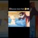 with sports teams yesterday youtube sayfasina Tom ve Jerry cartoon 😻👻luccas toon fast..#video #viral
