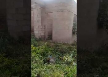 KIWANJA KINA NYUMBA MOJA NA MSINGI BUHONGWA MWANZA KINAUZWA MIL. 6 📞0769010476/0769020476/0789020476