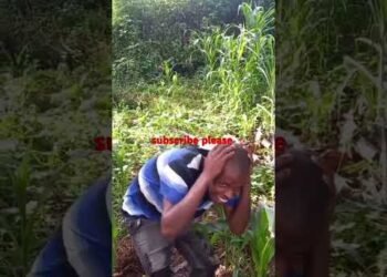 vita vya tatu#trending #comedy #comedymovies #kenyanpolitician #uganda #tanzania