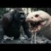 KING KONG 2025: FULL HD King Kong vs Anaconda: The ultimate amaron jungle battle!