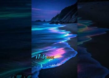 Cruel Summer ☀️ #MusicVideo #LyricsOnScreen #ShortsMusic #SingAlong #ViralSong #MusicShorts