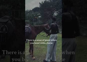 Rabbit Hole Series #uganda #africanfilms #film #southafrica #rabbitholeseries #horses