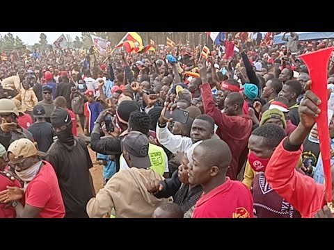 BOBI WINE LIVE
