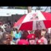 BOBI WINE LIVE