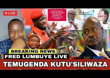 FRED LUMBUYE LIVE: TEMUGENDA KUTU’SILIWALILAKO BOBI WINE KULUNO MUKAMBWE M7 ATIDDE Chemical Ali Live