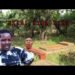 OMULU GWO OMUSAMBWA PART 2 VJ EMMY FULL MOVIE 2025 TRANSLATED MOVIE