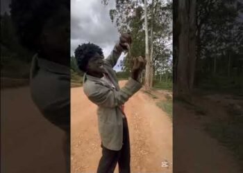 THE PLAN B #foryoupage #foryou #travel #jungleadventure#funny  #vibu #uganda 🇺🇬🇺🇬🇺🇬