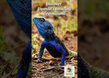 Uganda the Pearl of Africa🇺🇬