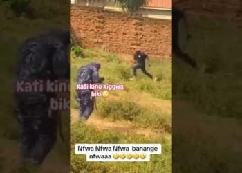 Nfwa nfwa banayee bino nga binyuma nenkya mubiddemu #subscribe #share #join #comment #bobiwine