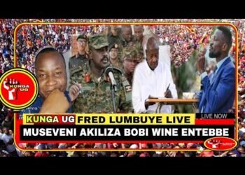 FRED LUMBUYE LIVE: MUSEVENI AKILIZA BOBI WINE ENTEBBE WETWOGERELA EBINTU BITABUSE, ChemicalAliLive
