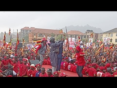 BOBI WINE LIVE