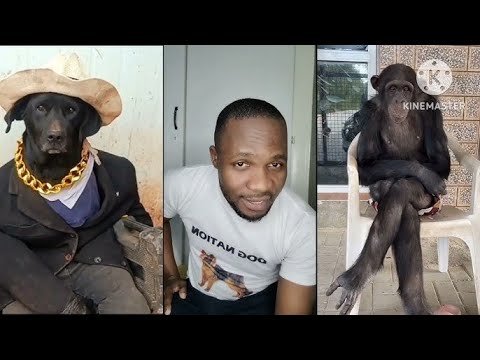 LIVE:HALF LONDON PRESIDENT DOG NATION#live