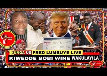 FRED LUMBUYE LIVE: AMERICA KIWEDE BOBI WINE WAKULAYIRA, ESAWA YONA OMULIRO GUNYOOKA ChemicalAliLive