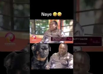 NAYE 🤣🤣 #uganda #bobiwine #live