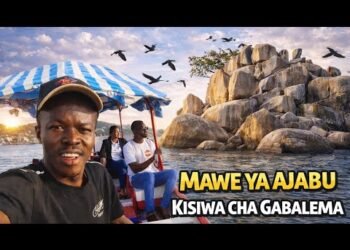 TAZAMA HIKI KISIWA 😯 KINAVYO VUTIA 🥰 AKIKA NI KISIWA CHAKIPEKE NDANIYA 🇹🇿 MWANZA CITY KINA FAHA SA🛥️