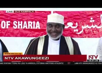 NTV Akawungeezi | Ku Ssaawa Emu Live | NTV Uganda Livestream Akawungeezi