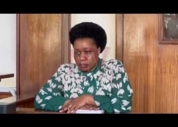 Sarah Bireete charged with alleged unlawful access to voters’ register data