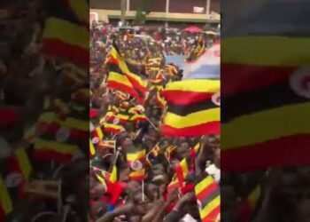 Dembe by Bobi and Barbie #viral #bobiwine #2026election #ntv #uganda