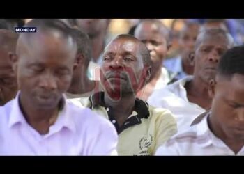 UPDF deflects accusations of interfering in politics