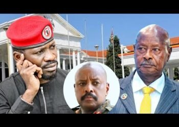 Akavidiyo Ka #bobiwine Katiisiza Gavumenti